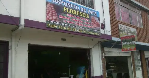 DEPOSITO DE PAPA FLORENCIA DEPOSITO DE PAPA FLORENCIA